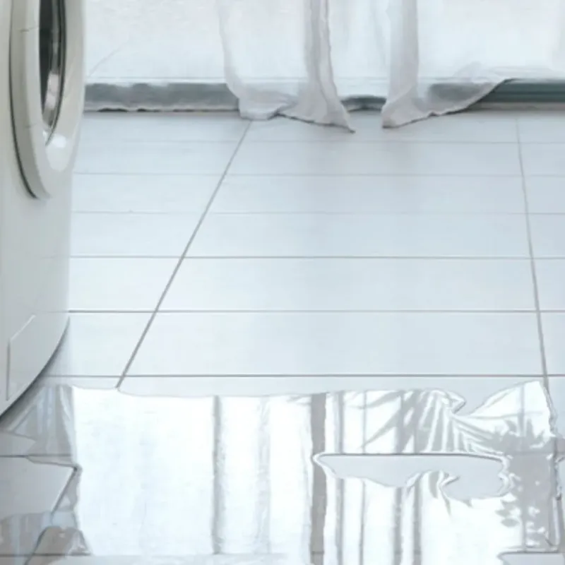 Appliance Leak Cleanup in Heath, TX