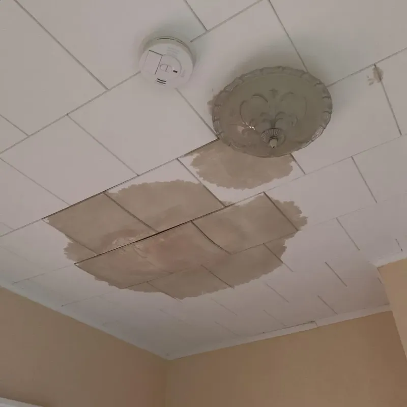 Ceiling Water Damage Repair in Heath, TX