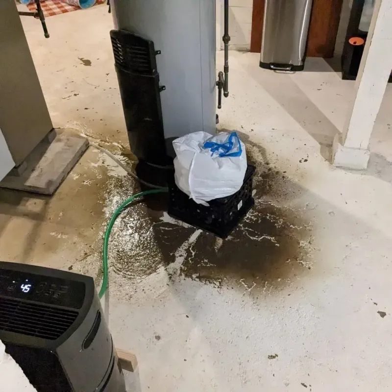 Sewage Backup Cleanup Service in Heath, TX
